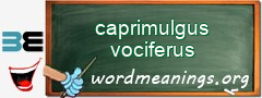 WordMeaning blackboard for caprimulgus vociferus